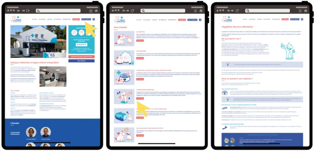 Reprise du contenu des opérations sous forme de Blog sur le site de la clinique (ajout d'une page "Nos Conseils") et sur les réseaux sociaux de la clinique (Instagram et Facebook)