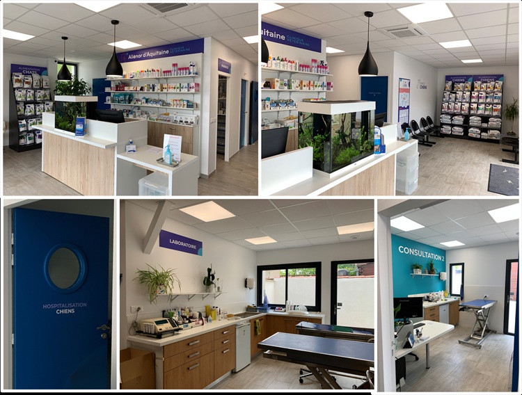 L'intérieur de la clinique