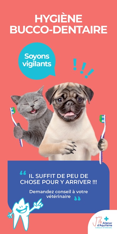 Ex. Opération bucco-dentaire - Le poster vitrine double face