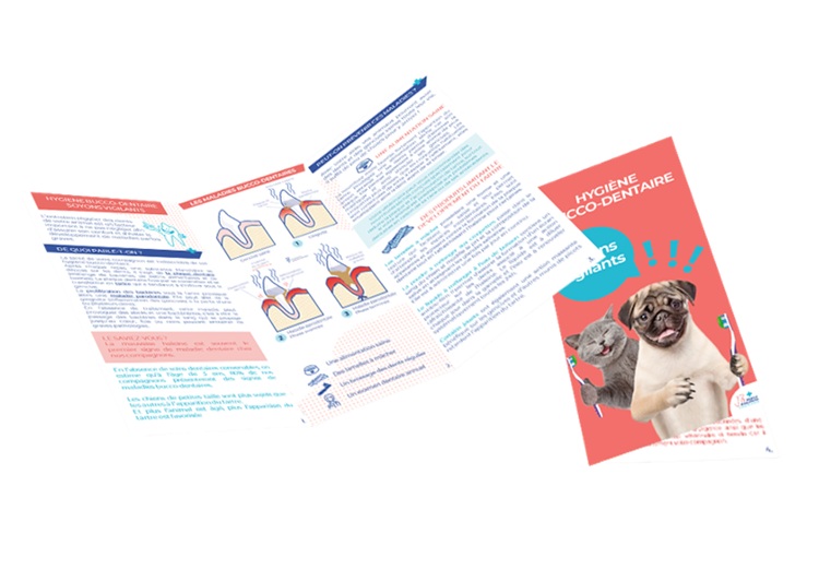 Ex. Opération bucco-dentaire - La brochure