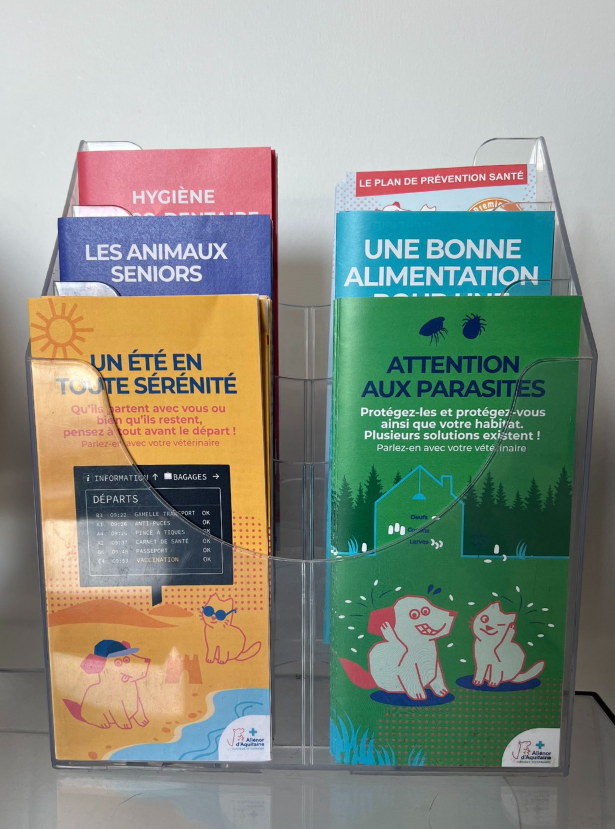 Les brochures de la clinique sur les 5 thématiques (+le plan de prévention santé). Elles sont toutes à la charte de la clinique, donc très identitaires - Le contenu est systématiquement repris sur la page "Nos Conseils" sur le site internet sous forme de blog et sur les réseaux sociaux de la clinique (Instagram et Facebook)
