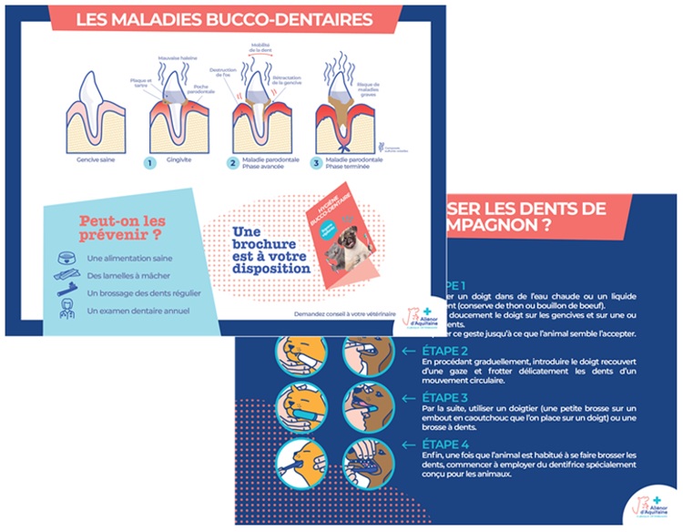 Ex. Opération bucco-dentaire - Les 2 affiches
