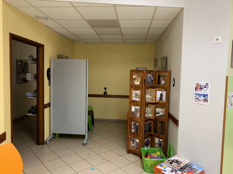 AVANT - Salle d'attente chats