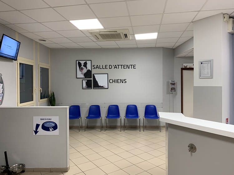 La salle d'attente chiens