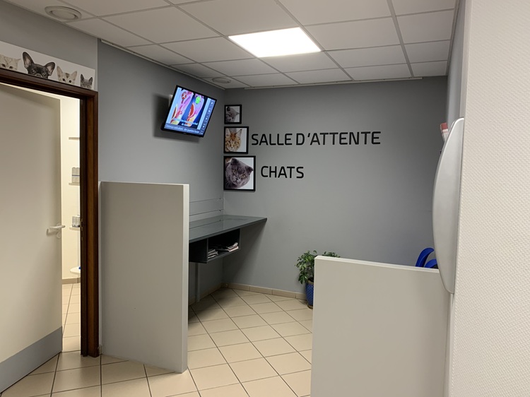 Salle d'attente chats