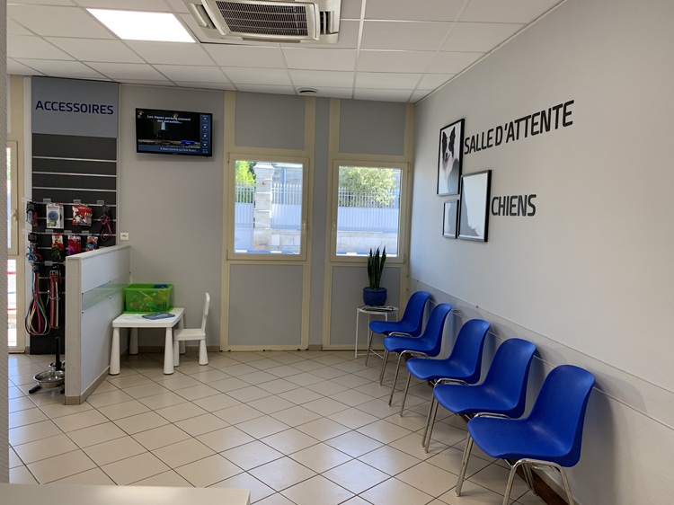 Salle d'attente chiens