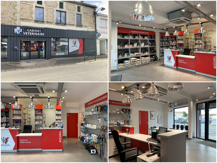 Cabinet de Chasseneuil après travaux en 2019 - Création