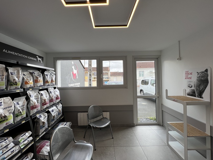 Salle d'attente chats