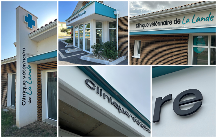 Zoom sur les éléments de l'enseigne