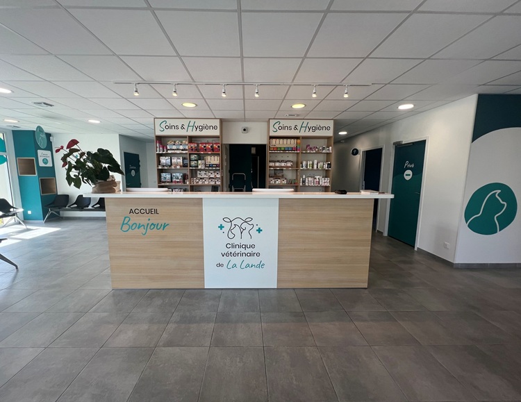 Vue de l'accueil en entrant dans la clinique