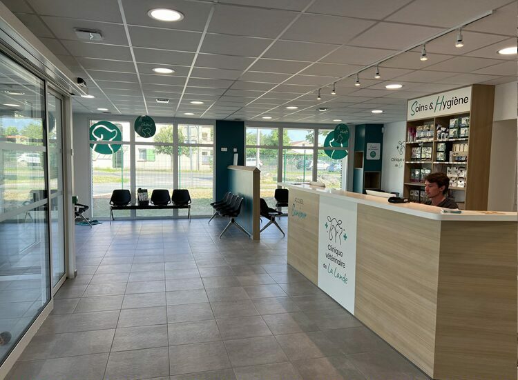 L'accueil avec vue sur les 2 salles d'attente chiens et chats