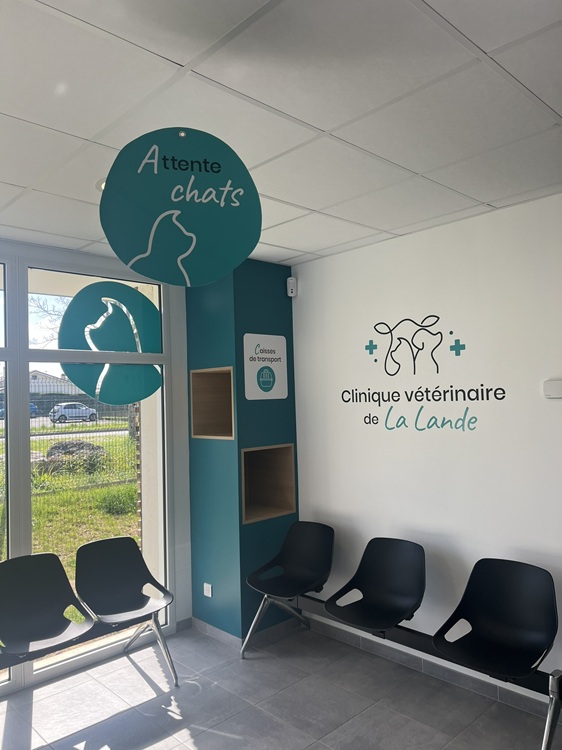 Zoom sur les services de la salle d'attente chats - Meuble dessiné et conçu sur mesure