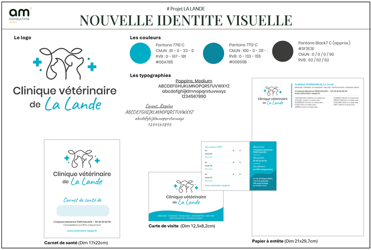 Nouvelle identité visuelle & papeterie (carte de visite, papier à entête compatible avec logiciel ordonnance et/ou facture, protège carnet de santé)