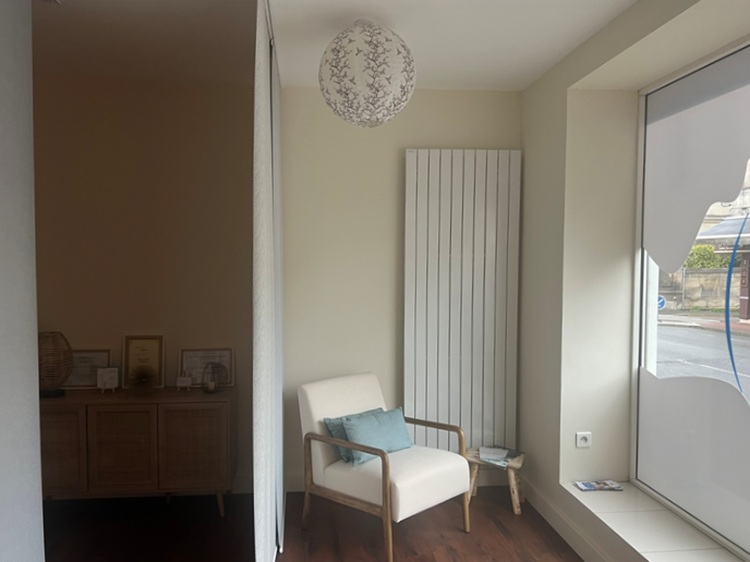 Entrée / Accueil du salon (vitrine à droite et panneaux japonais à gauche)